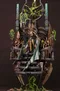 carousel chooser