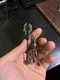 carousel chooser